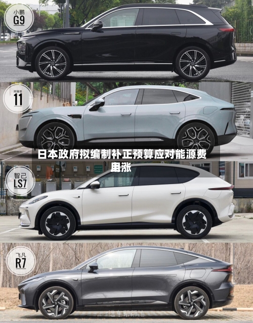 日本政府拟编制补正预算应对能源费用上涨