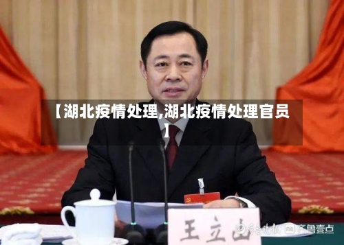 【湖北疫情处理,湖北疫情处理官员】