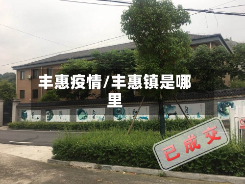 丰惠疫情/丰惠镇是哪里
