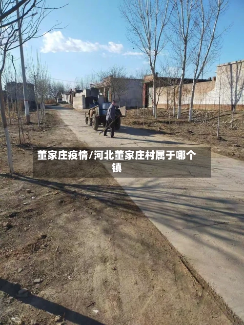 董家庄疫情/河北董家庄村属于哪个镇