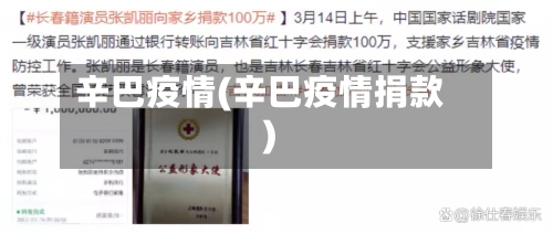 辛巴疫情(辛巴疫情捐款)
