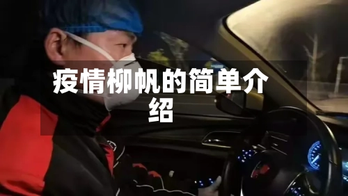 疫情柳帆的简单介绍