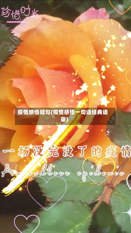 疫情感悟短句(疫情感悟一句话经典语录)