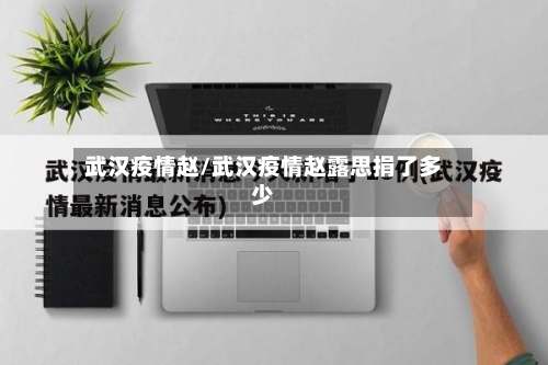 武汉疫情赵/武汉疫情赵露思捐了多少