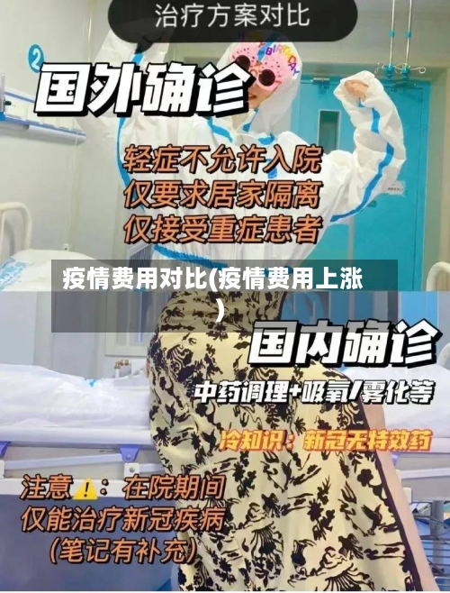 疫情费用对比(疫情费用上涨)