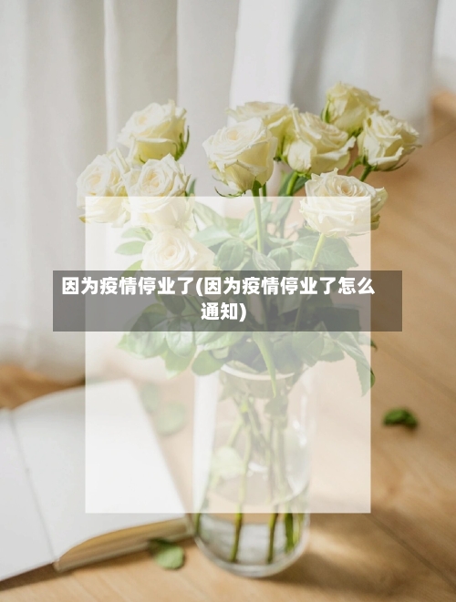 因为疫情停业了(因为疫情停业了怎么通知)