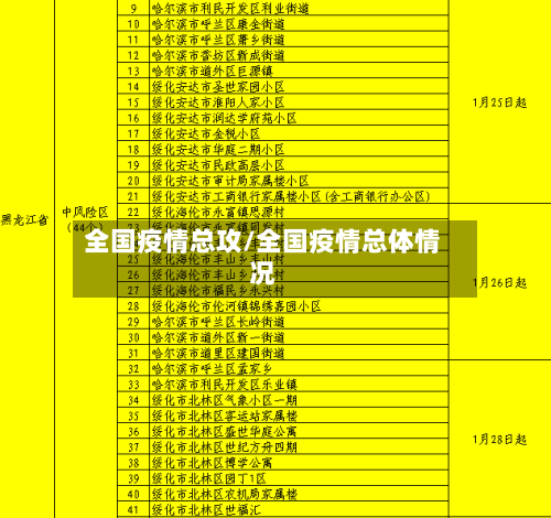 全国疫情总攻/全国疫情总体情况