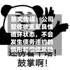 慈文传媒：公司整体收支呈良性循环状态，不会发生债务违约的情形和偿债风险