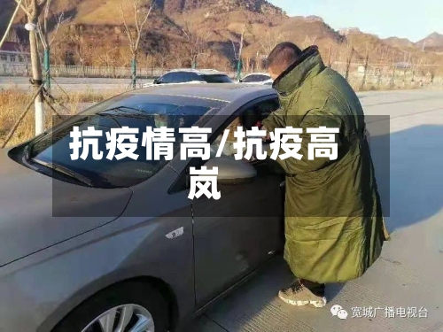抗疫情高/抗疫高岚