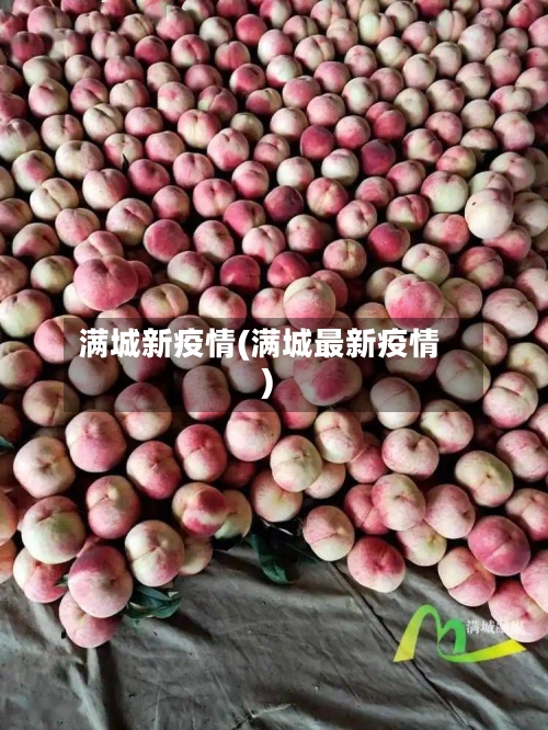 满城新疫情(满城最新疫情)