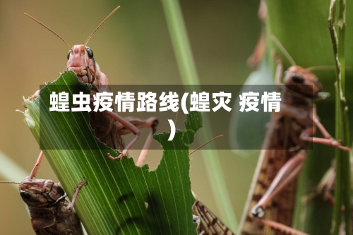 蝗虫疫情路线(蝗灾 疫情)
