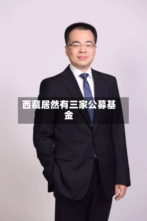 西藏居然有三家公募基金