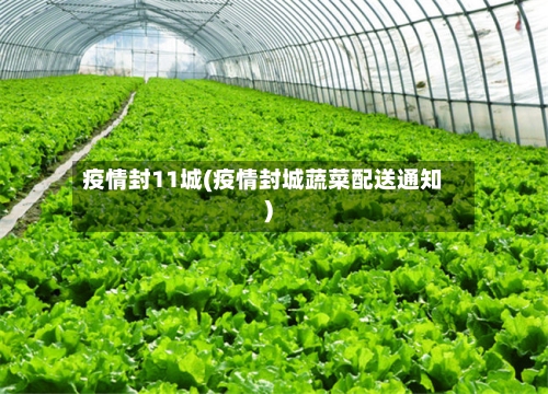 疫情封11城(疫情封城蔬菜配送通知)