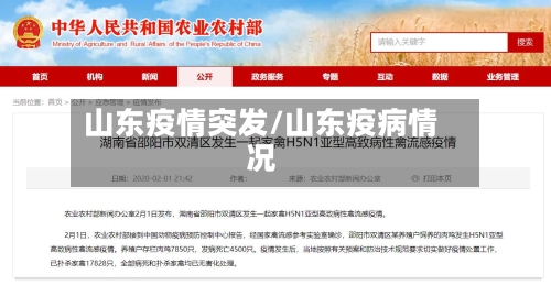 山东疫情突发/山东疫病情况