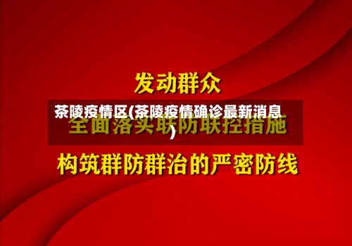 茶陵疫情区(茶陵疫情确诊最新消息)