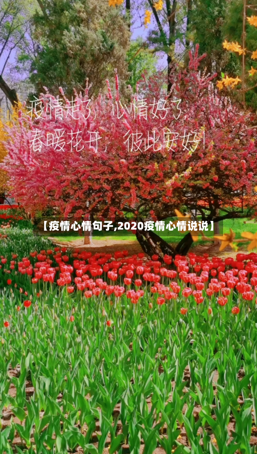 【疫情心情句子,2020疫情心情说说】