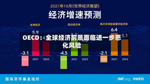 OECD:全球经济前景面临进一步恶化风险