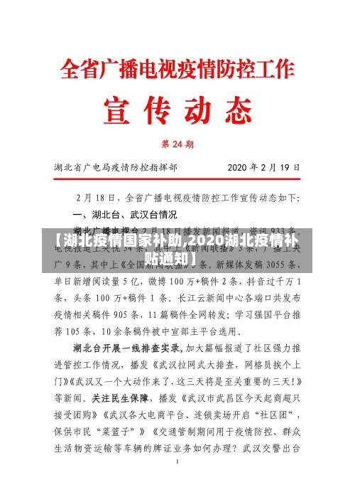 【湖北疫情国家补助,2020湖北疫情补贴通知】