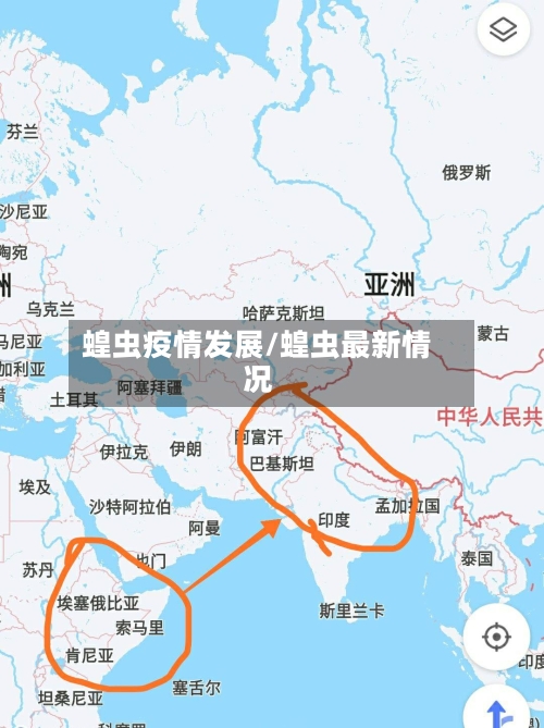 蝗虫疫情发展/蝗虫最新情况