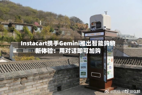 Instacart携手Gemini推出智能购物新体验：用对话即可加购