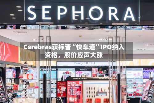 Cerebras获标普“快车道”IPO纳入资格，股价应声大涨