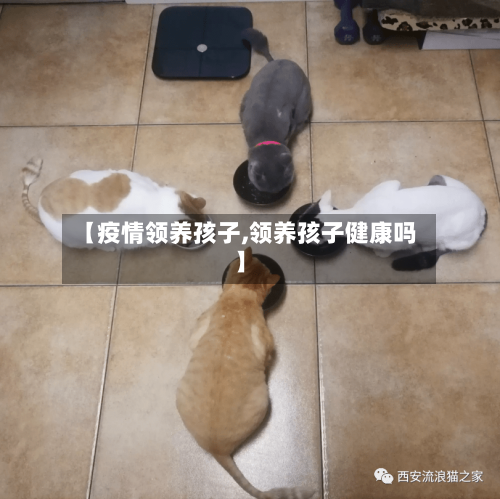 【疫情领养孩子,领养孩子健康吗】