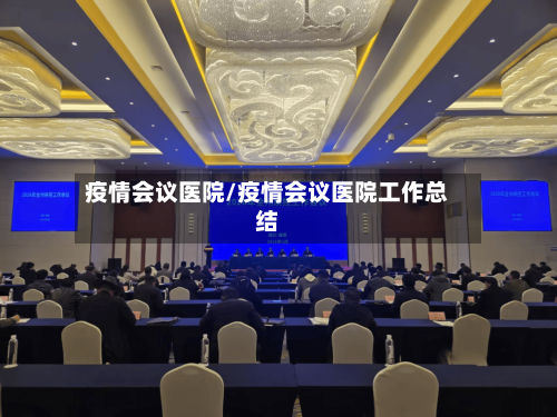 疫情会议医院/疫情会议医院工作总结