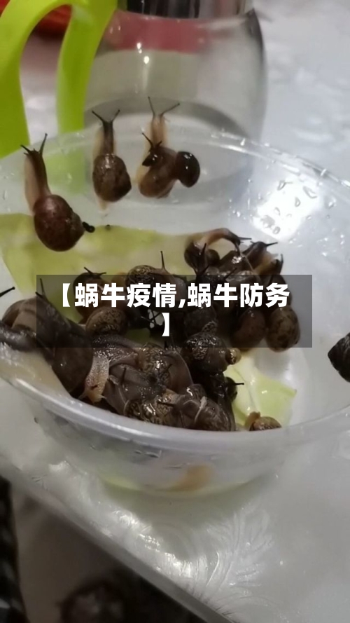 【蜗牛疫情,蜗牛防务】
