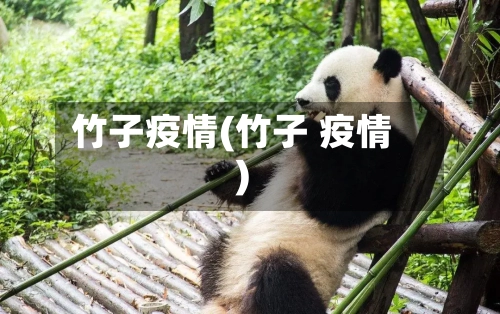 竹子疫情(竹子 疫情)