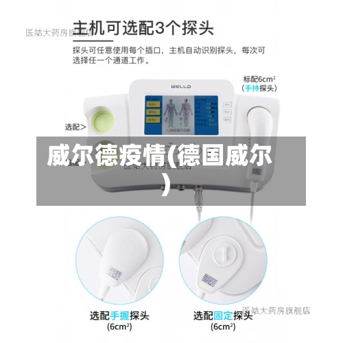 威尔德疫情(德国威尔)