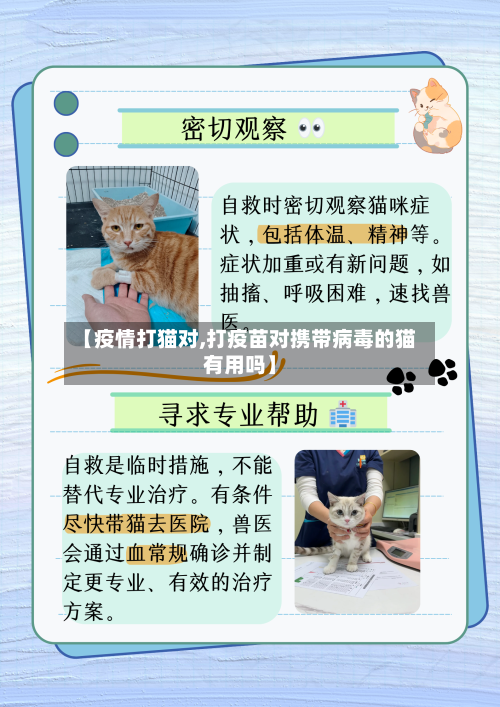 【疫情打猫对,打疫苗对携带病毒的猫有用吗】