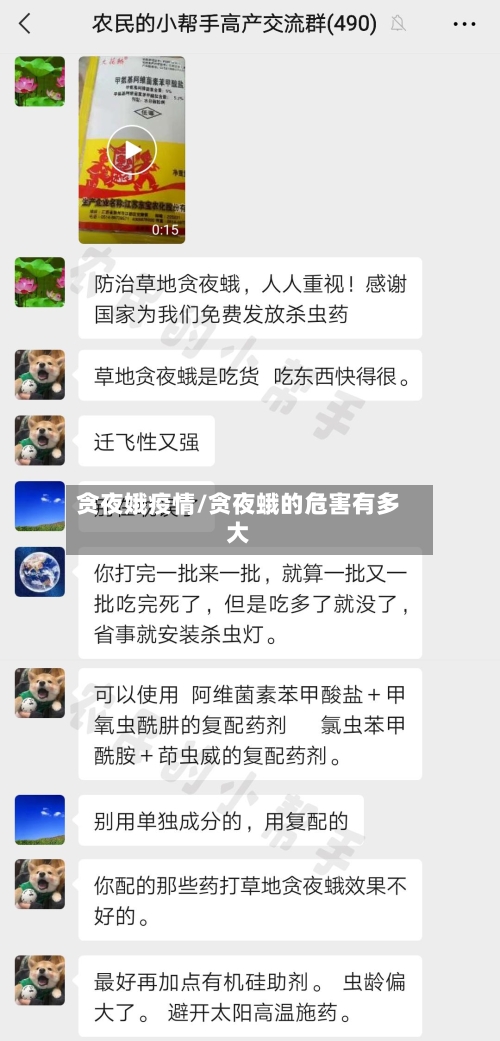 贪夜娥疫情/贪夜蛾的危害有多大