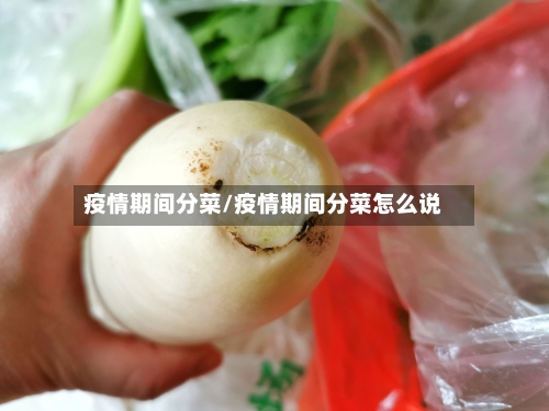 疫情期间分菜/疫情期间分菜怎么说