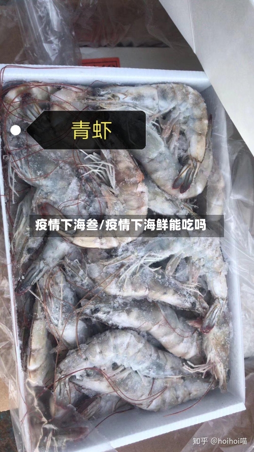 疫情下海叁/疫情下海鲜能吃吗