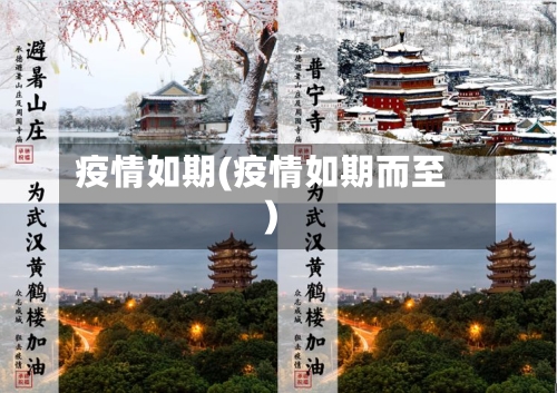 疫情如期(疫情如期而至)