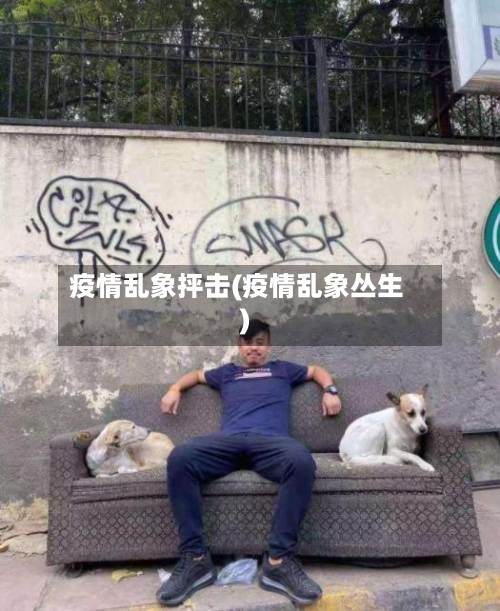 疫情乱象抨击(疫情乱象丛生)
