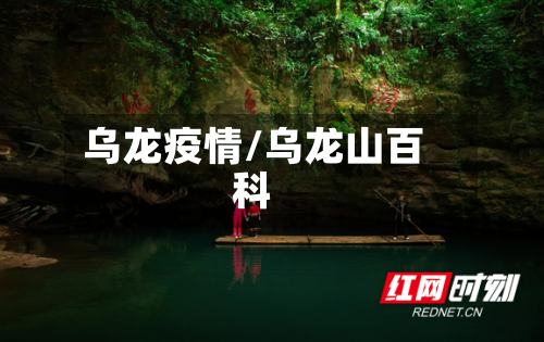 乌龙疫情/乌龙山百科