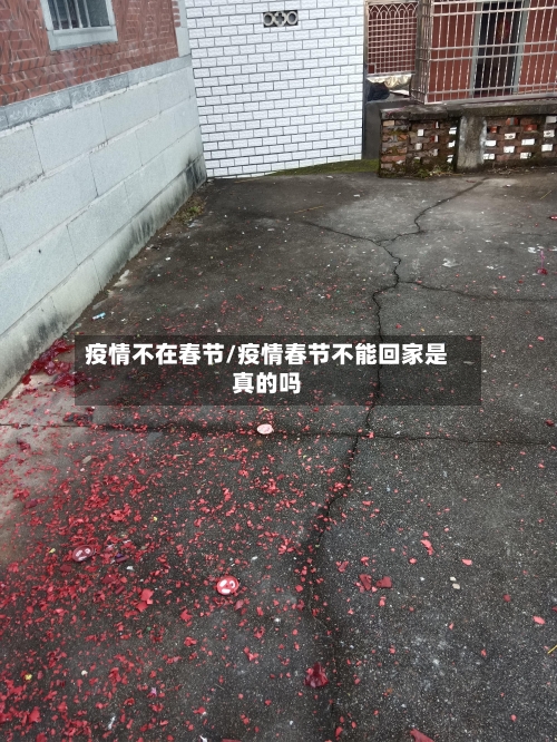 疫情不在春节/疫情春节不能回家是真的吗