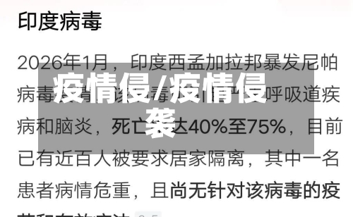 疫情侵/疫情侵袭
