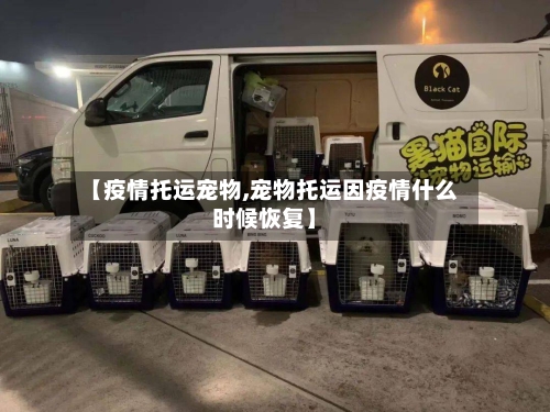 【疫情托运宠物,宠物托运因疫情什么时候恢复】