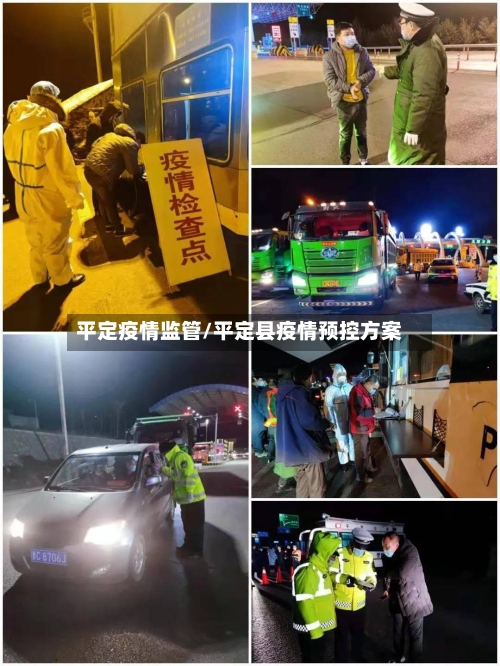 平定疫情监管/平定县疫情预控方案