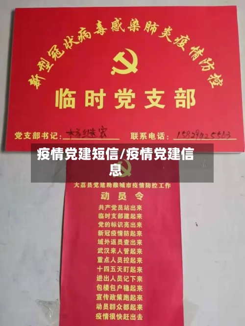 疫情党建短信/疫情党建信息
