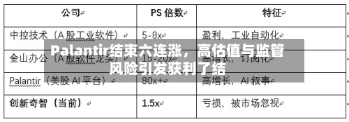 Palantir结束六连涨，高估值与监管风险引发获利了结