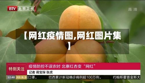 【网红疫情图,网红图片集】