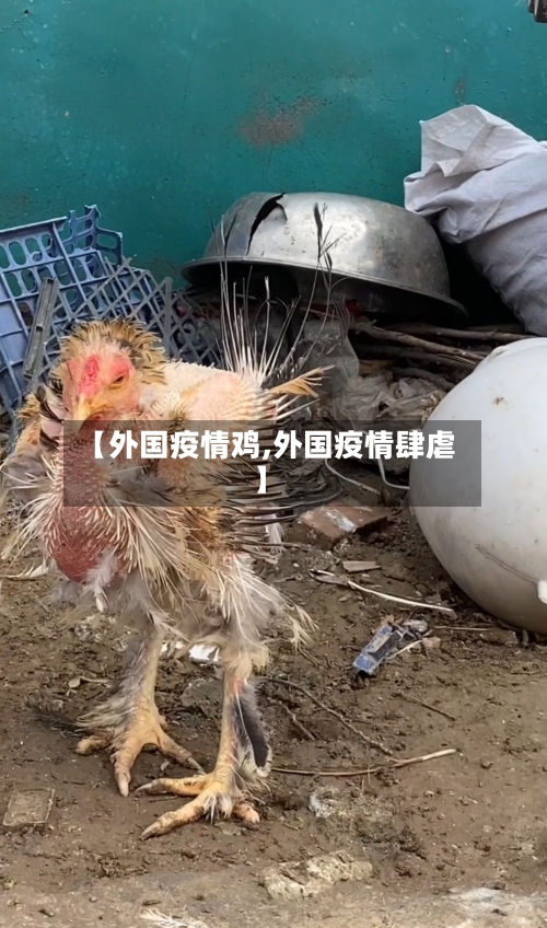 【外国疫情鸡,外国疫情肆虐】