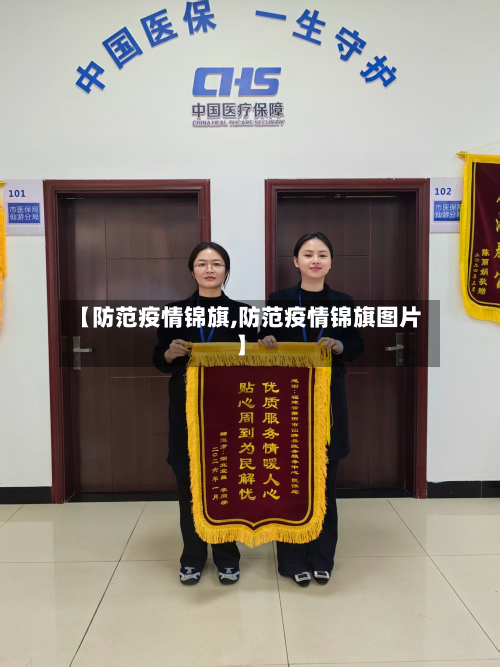 【防范疫情锦旗,防范疫情锦旗图片】