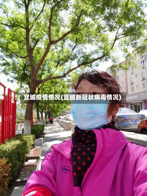 宜城疫情情况(宜城新冠状病毒情况)