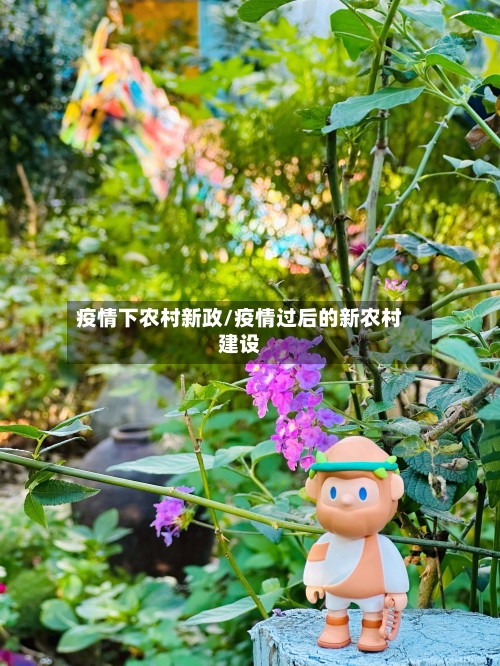 疫情下农村新政/疫情过后的新农村建设