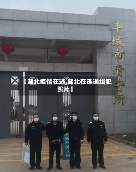 【湖北疫情在逃,湖北在逃通缉犯照片】