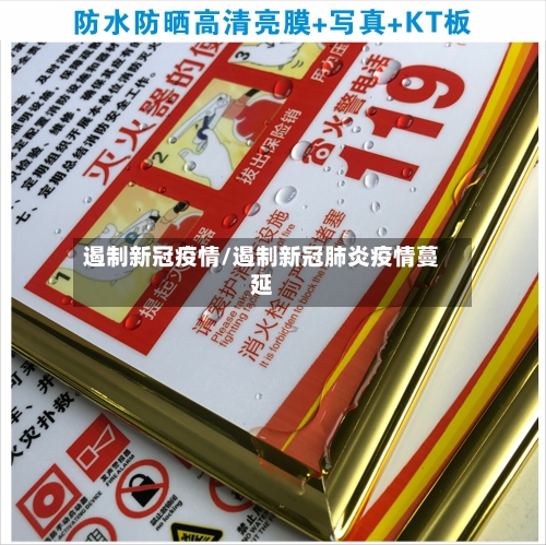 遏制新冠疫情/遏制新冠肺炎疫情蔓延